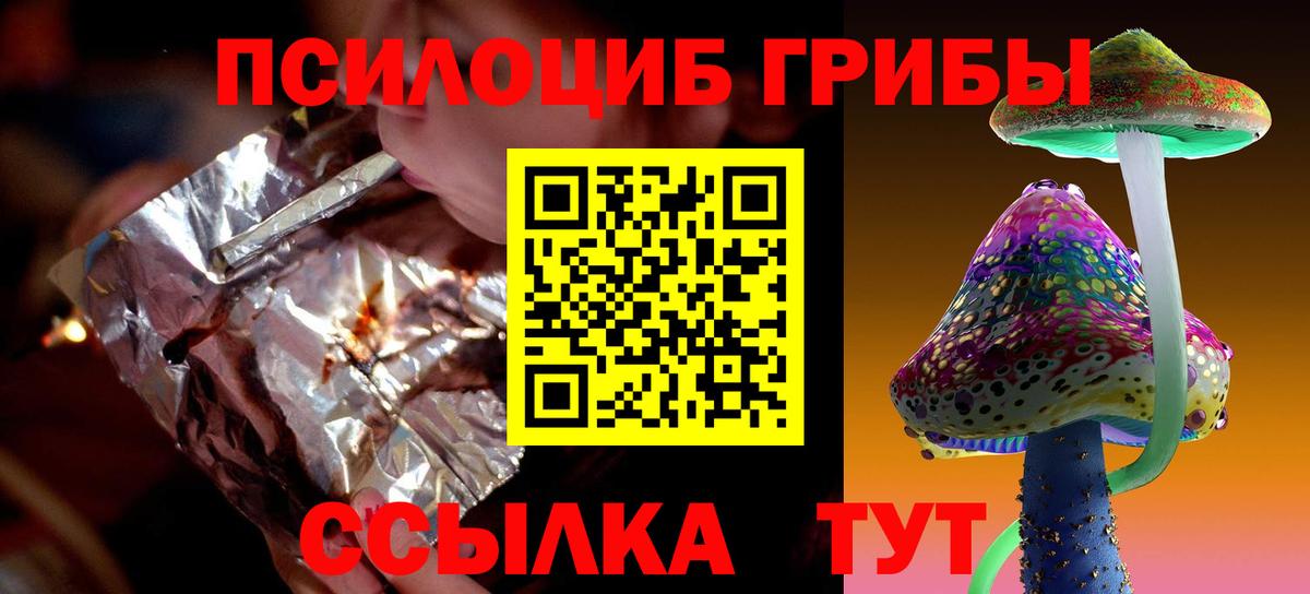 Елец  Псилоцибиновые грибы мицелий  Вход с VPN 