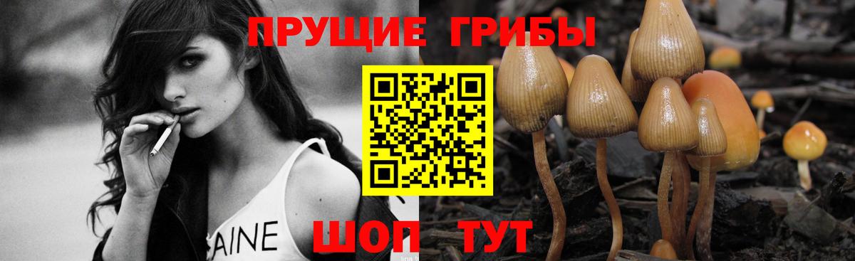 Галлюциногенные грибы MAGIC MUSHROOMS Елец